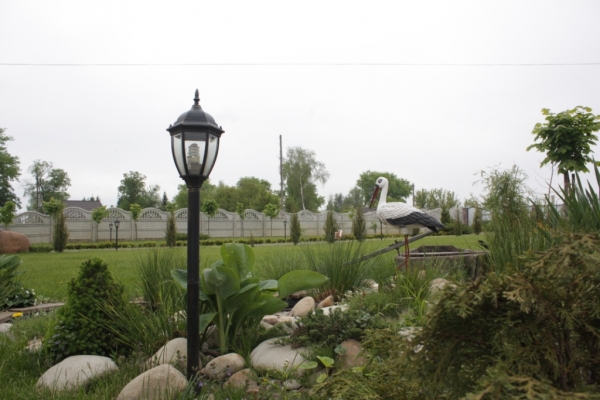 11404F354E-EDEC-D036-BA45-48B4E6B4FCE1.jpg